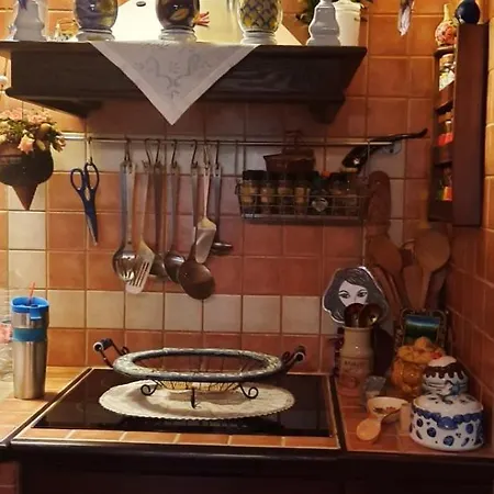 δάσος με πλατανια Áyios Dhimítrios