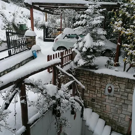 δάσος με πλατανια Villa