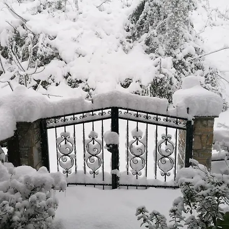 δάσος με πλατανια Villa